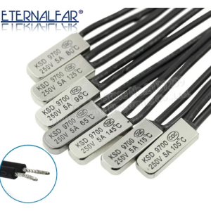 Interrupteur Thermique