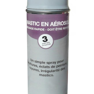 Soloplast 146830 Mastic aérosol de remplissage à séchage rapide